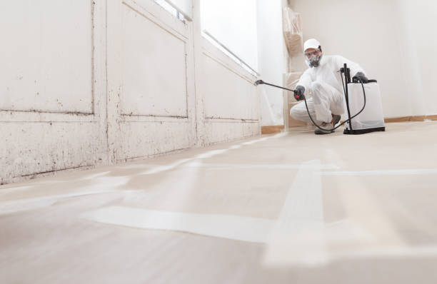 24/7 Emergency Black Mold Removal experts in Cranbury, NJ