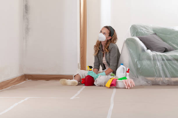 Reliable Black Mold Removal contractor in Cranbury, NJ by WQB Mold Removal